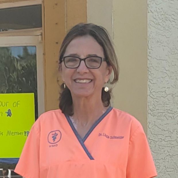Dr. Linda Schneider