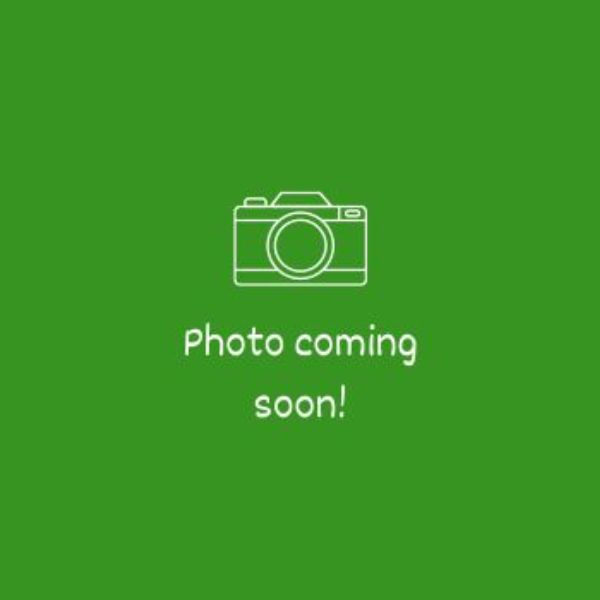 Coming soon (3) Dr. Linda Schneider