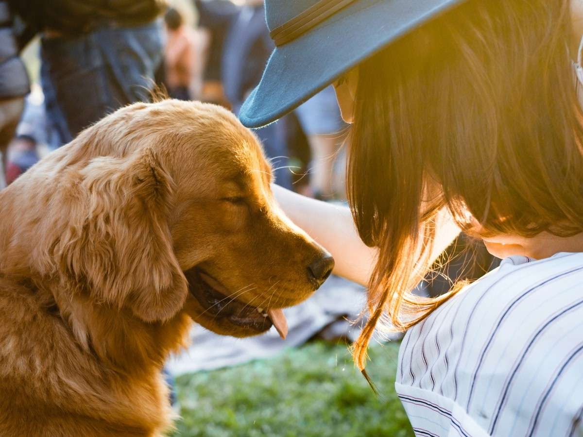cute dog with lady 