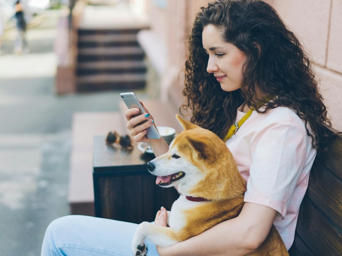 lady-sitting-with-her-dog-while-using-phone lady sitting with her dog while using phone