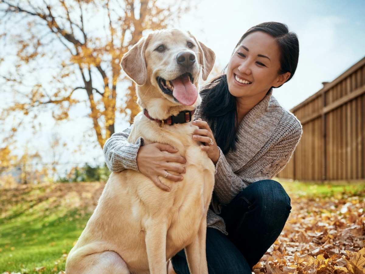 dog with owner dog with owner